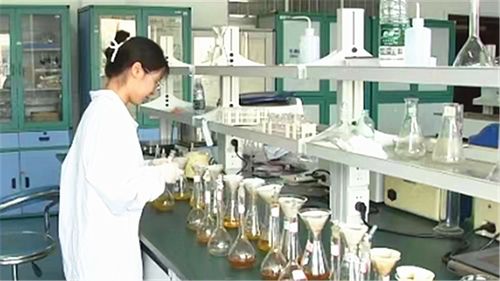 長沙建設中試基地 技術咨詢與服務如何為全球研發(fā)中心注入核心動能