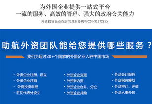 沈陽外資企業(yè)注冊與財務公司涉外服務全攻略 技術咨詢與技術服務的專業(yè)支持